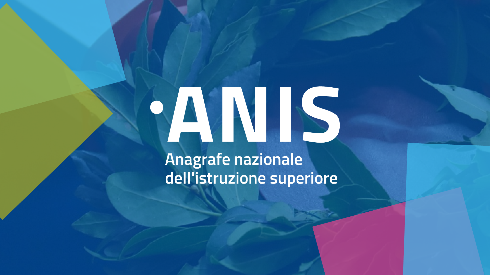 Scopri di più sull'articolo Anagrafe Nazionale dell’Istruzione Superiore, online il nuovo portale